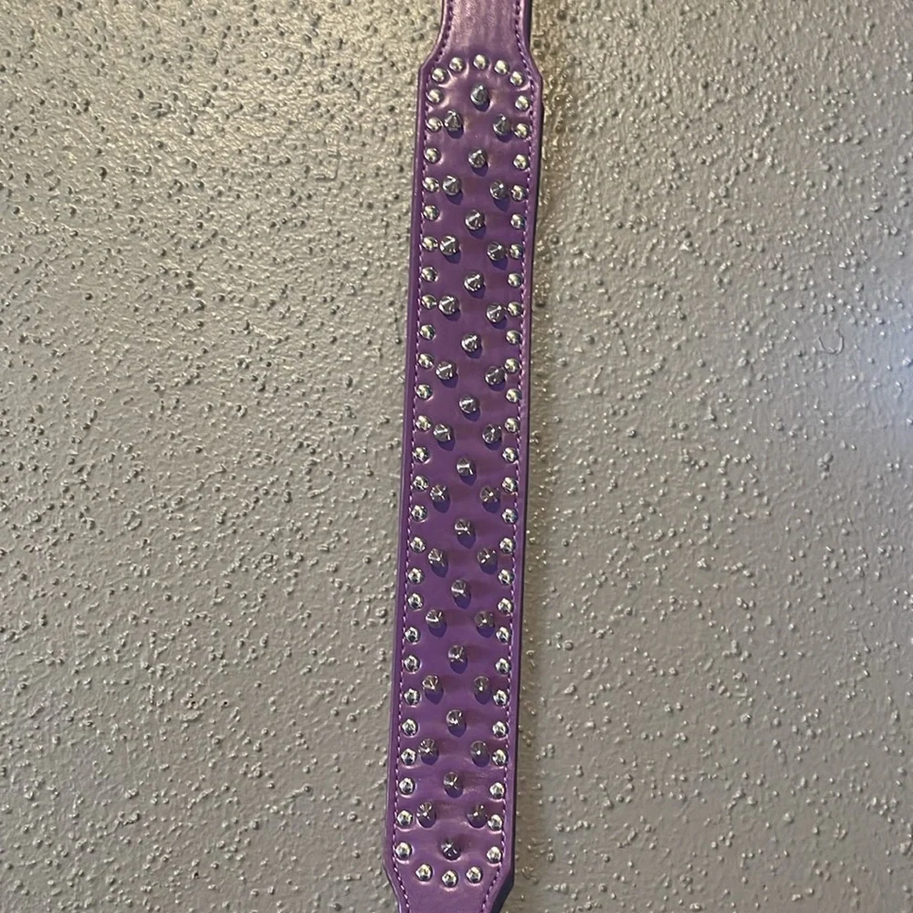 Dogs Purple Spiked Studded Dog Collar